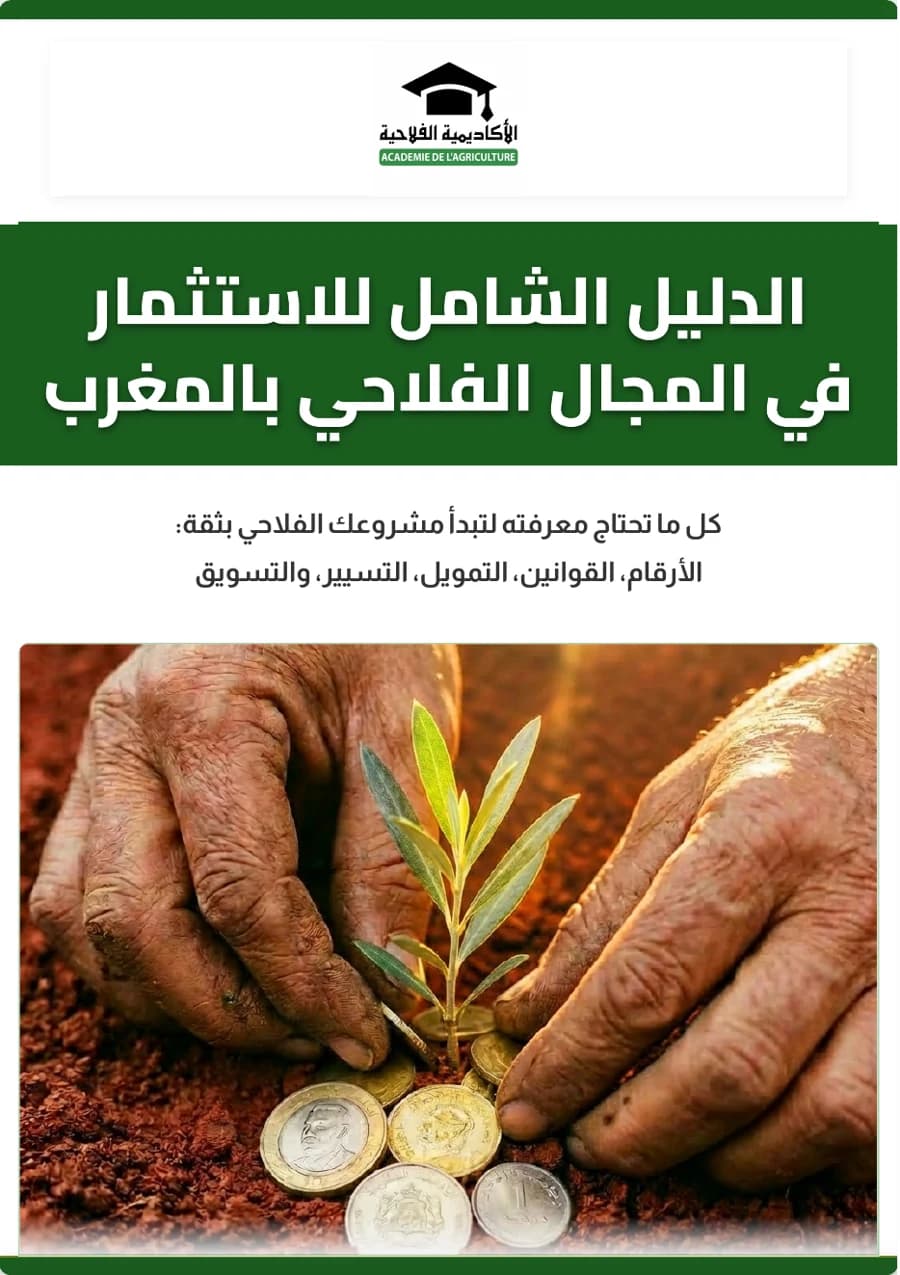 الغلاف الحقيقي