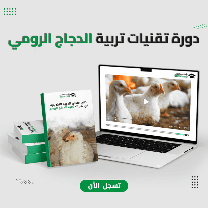 دورة تقنيات تربية الدجاج الرومي