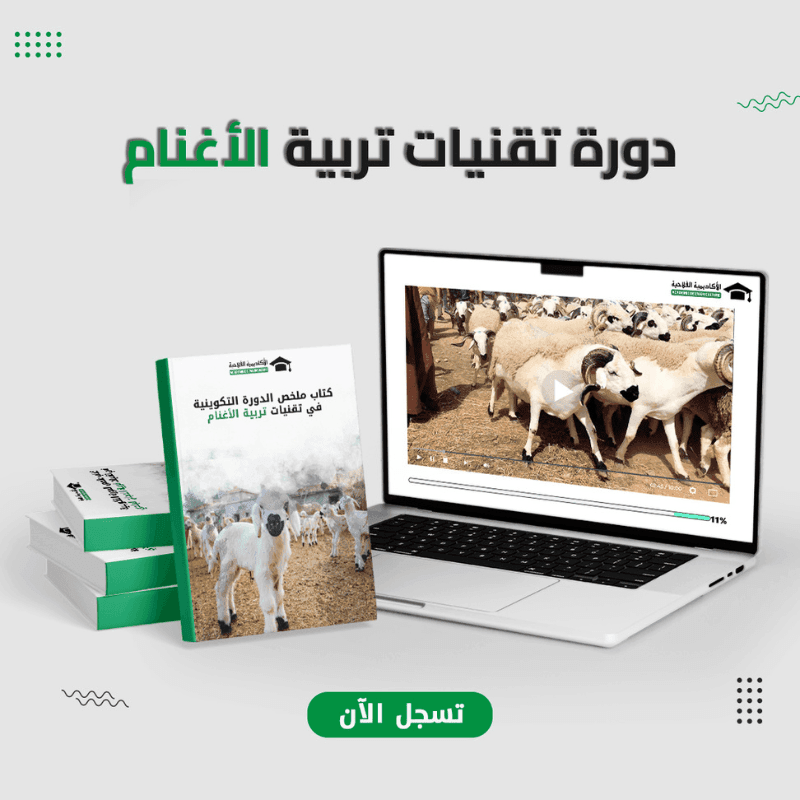 دورة تقنيات تربية الأغنام