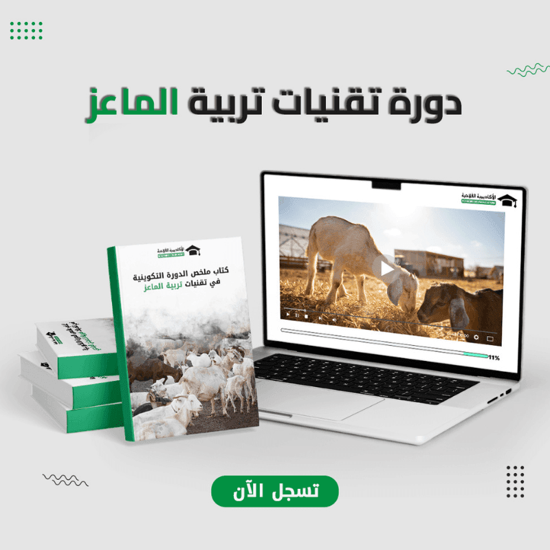 دورة تقنيات تربية الماعز