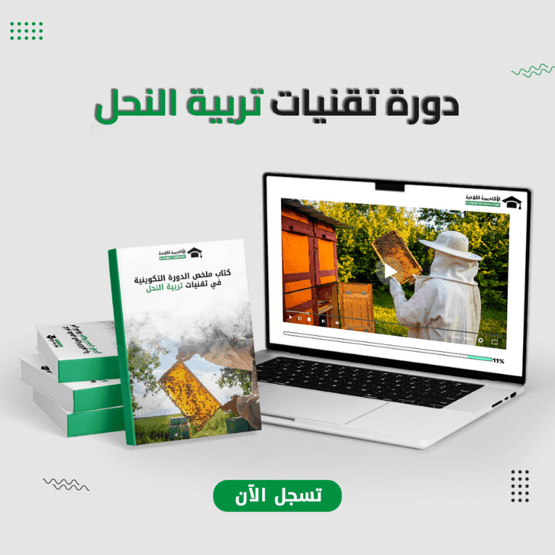 دورة تقنيات تربية النحل