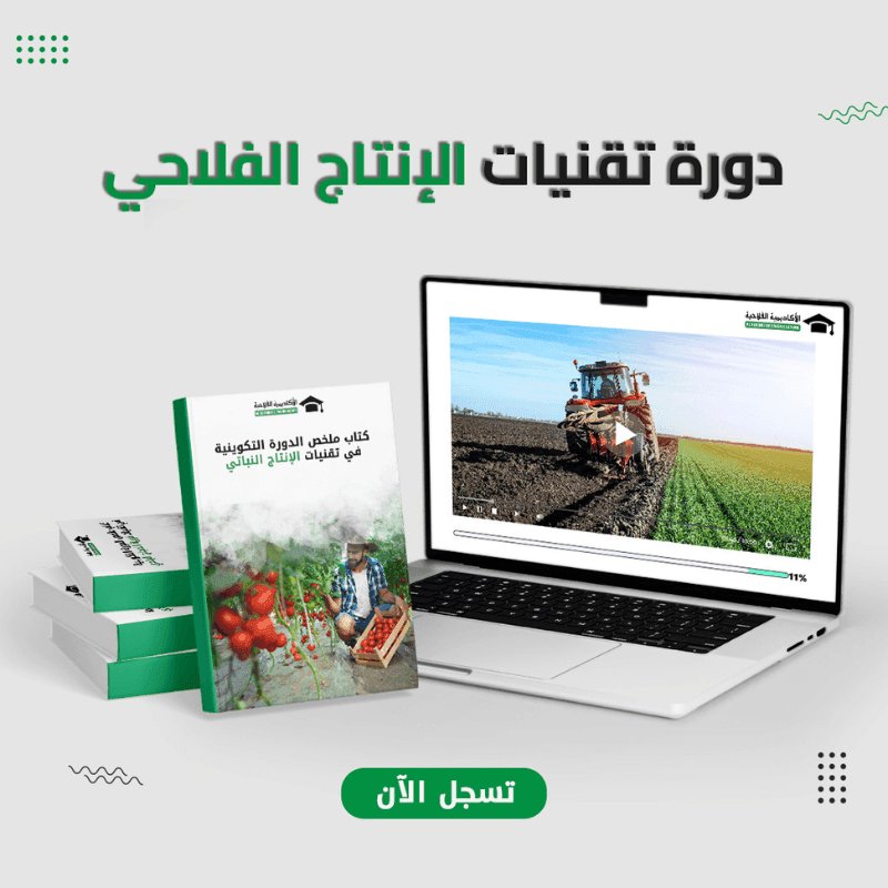 تقنيات الإنتاج النباتي