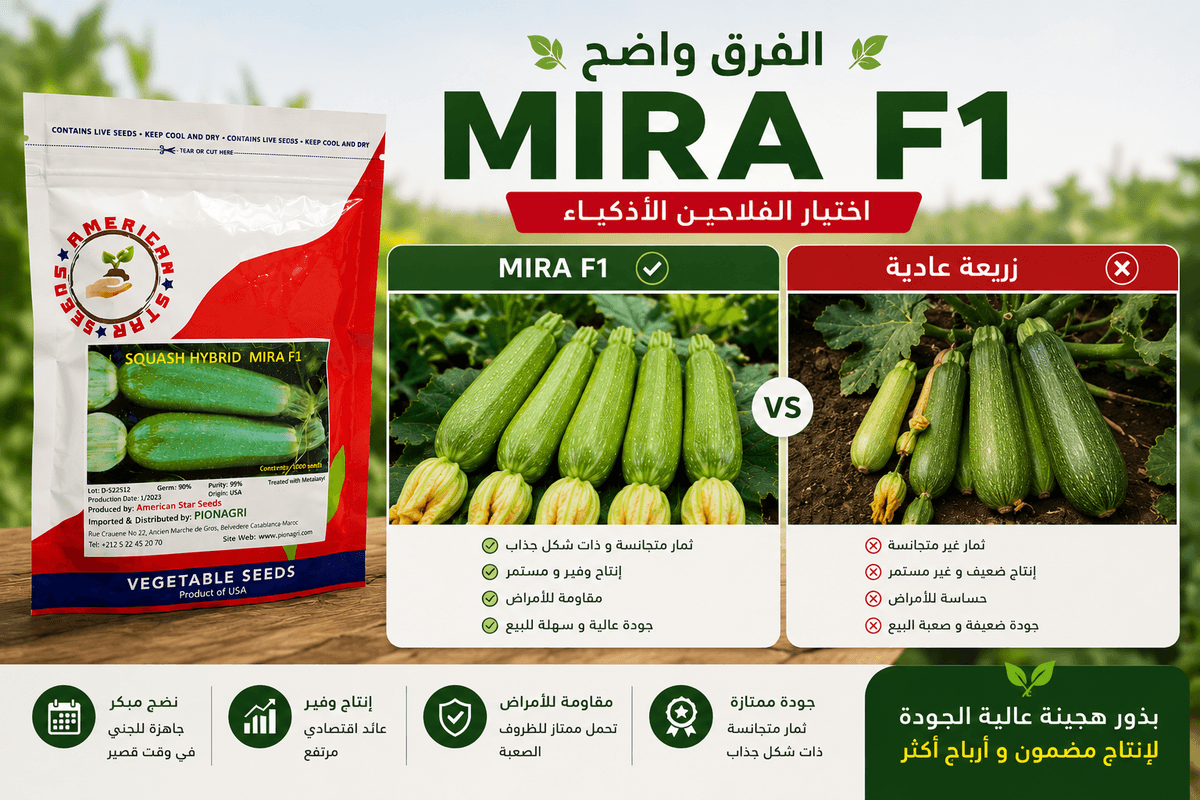 MIRA F1 vs زريعة عادية — مقارنة