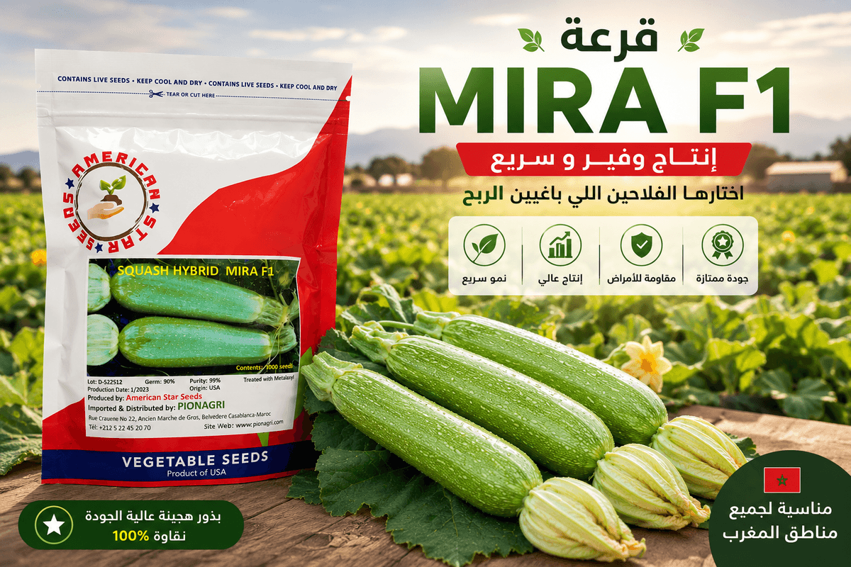 باكاج بذور MIRA F1 الأصلية من Pionagri