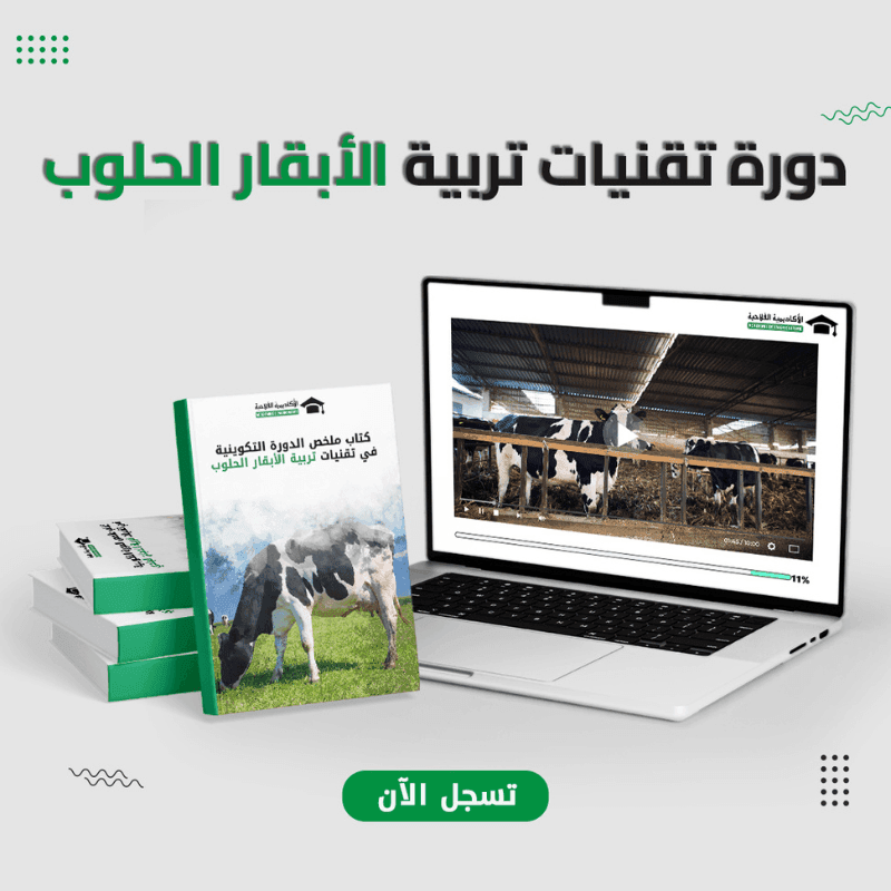 دورة تقنيات تربية الأبقار الحلوب