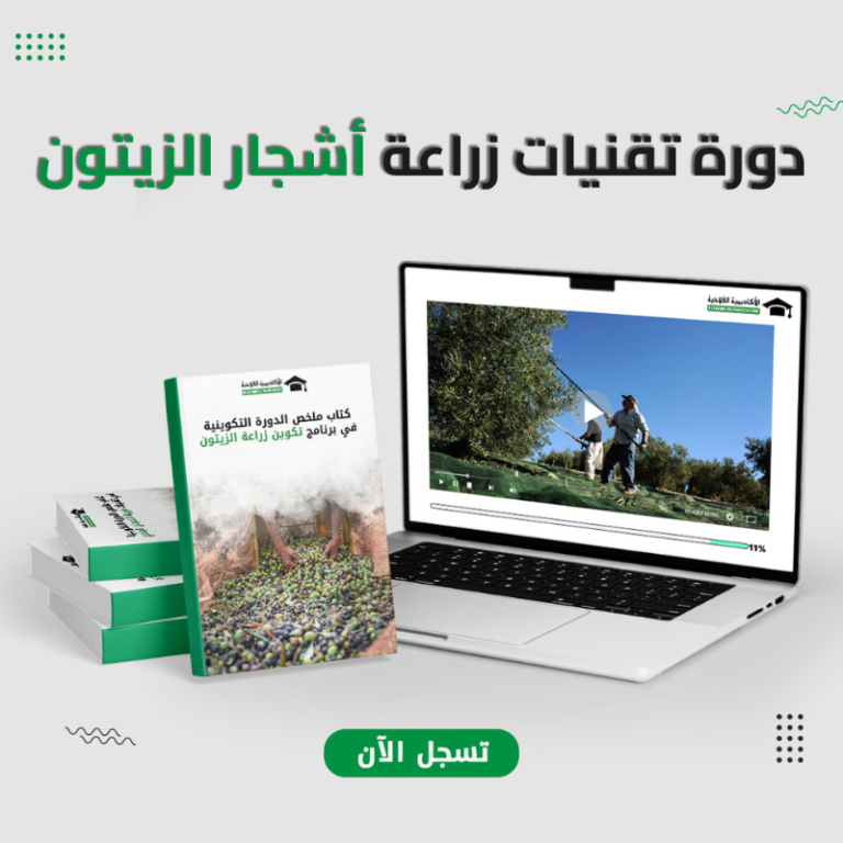 دورة تقنيات زراعة الزيتون