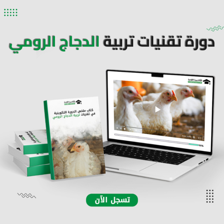 دورة تقنيات تربية الدجاج الرومي
