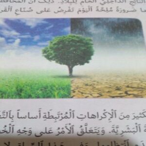 الصورة الشخصية لـ Benyoussef Skour