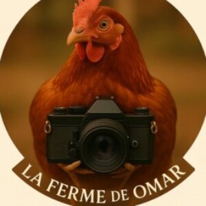 الصورة الشخصية لـ OMAR BADI