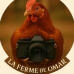 الصورة الشخصية لـ OMAR badi