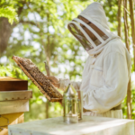 شعار المجموعة مجتمع تربية النحل